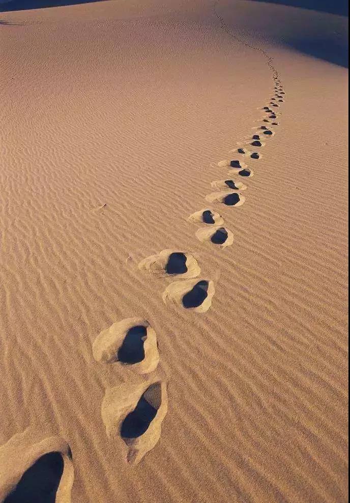 千亿·国际(中国)唯一官方网站