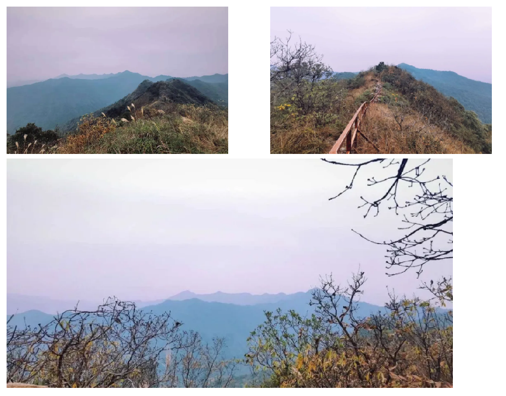 ǧ�ڡ�����(�й�)Ψһ�ٷ���վ