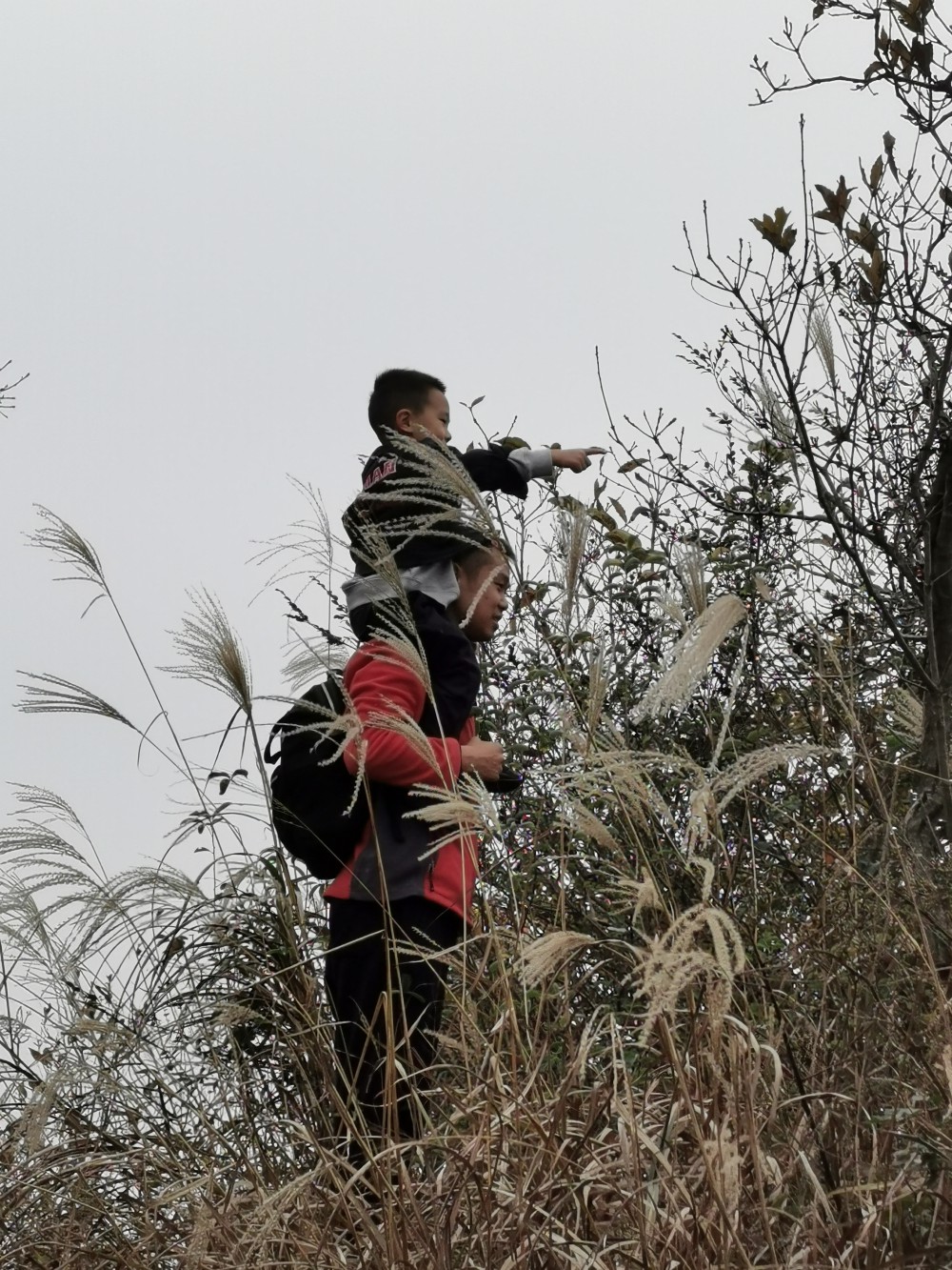 ǧ�ڡ�����(�й�)Ψһ�ٷ���վ