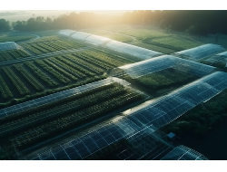 ǧ�ڡ�����(�й�)Ψһ�ٷ���վ